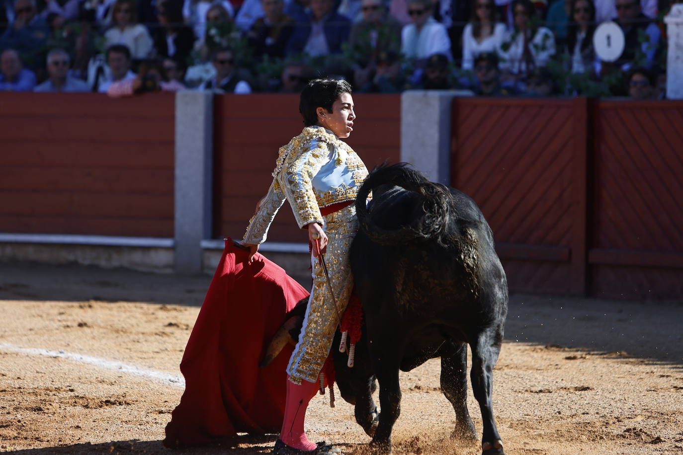 La novillada de Marco Pérez, en imágenes