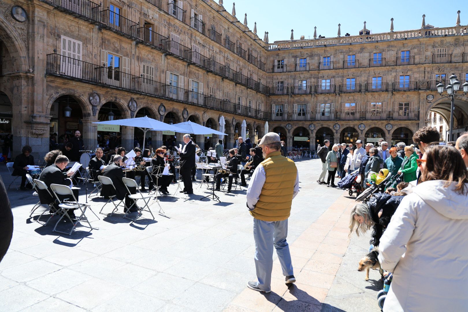 El sol anima el Día del Libro en los soportales de la Plaza Mayor