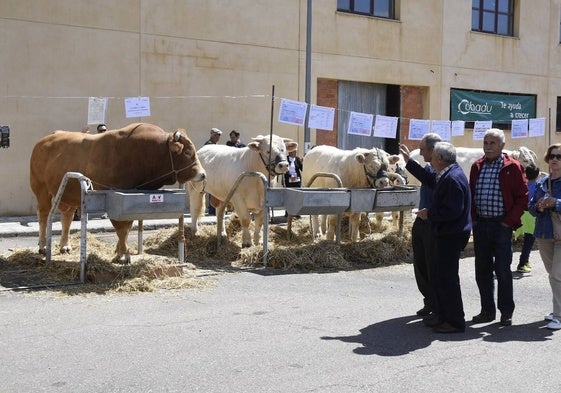 Celebración de la Feria de Ganado en 2019.