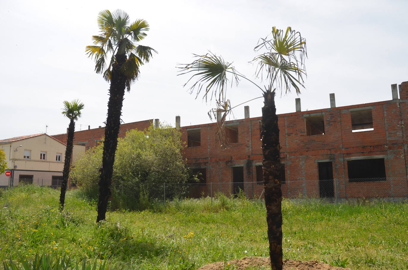 Continúa la oleada de incendios provocados en Ciudad Rodrigo