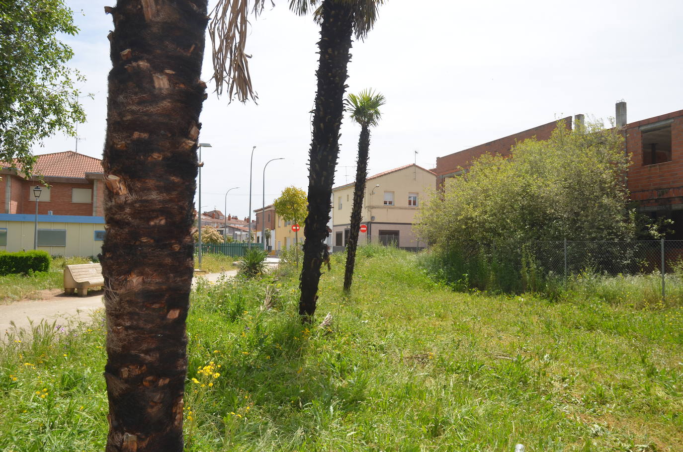 Continúa la oleada de incendios provocados en Ciudad Rodrigo