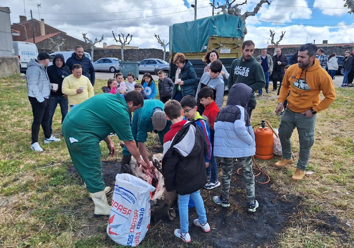 Aldeavieja de Tormes celebra una animada fiesta de la matanza