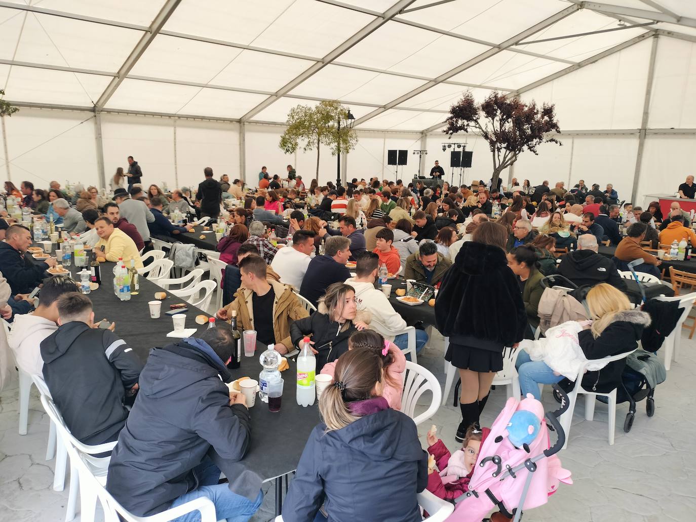 Aldeavieja de Tormes celebra una animada fiesta de la matanza