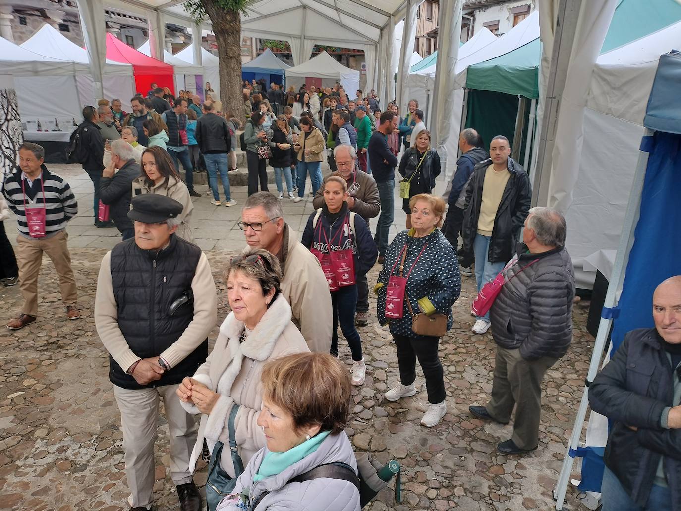 El público responde a la Feria de Enoturismo de San Esteban de la Sierra