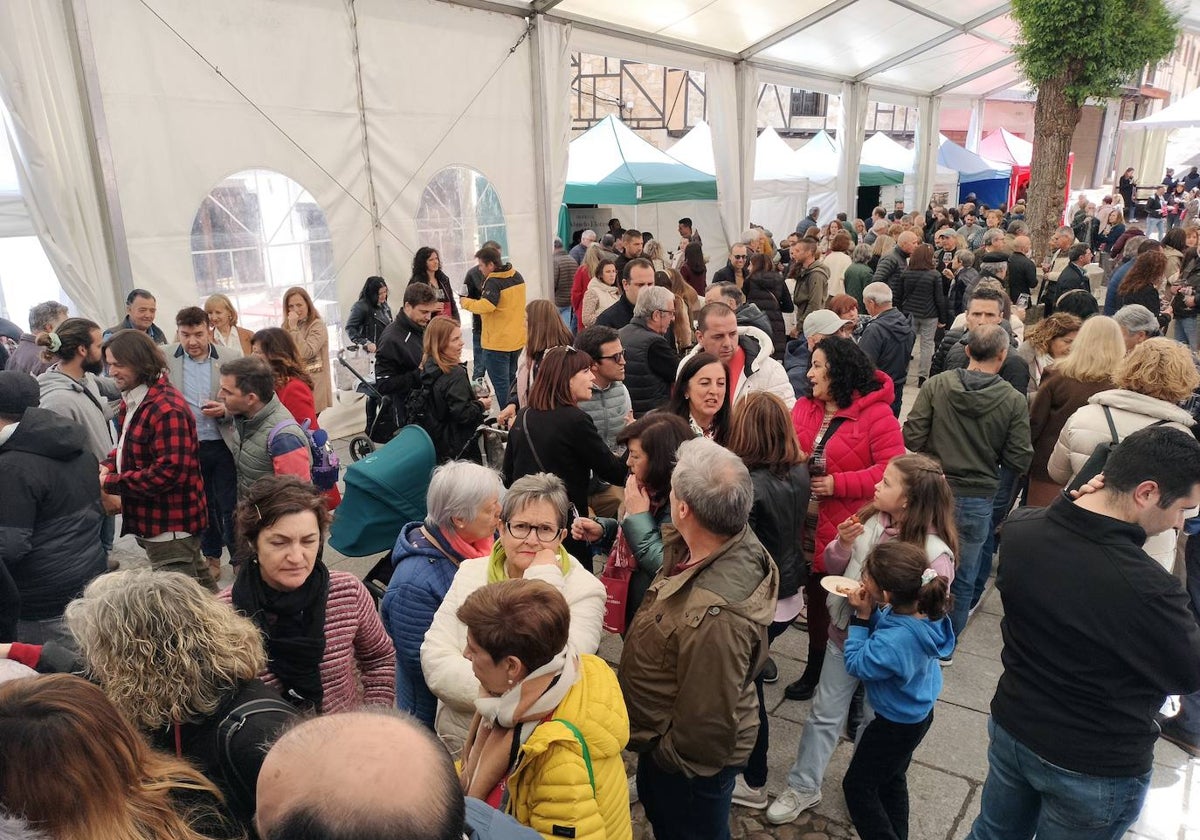 El público responde a la Feria de Enoturismo de San Esteban de la Sierra