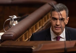 El presidente del Gobierno, Pedro Sánchez