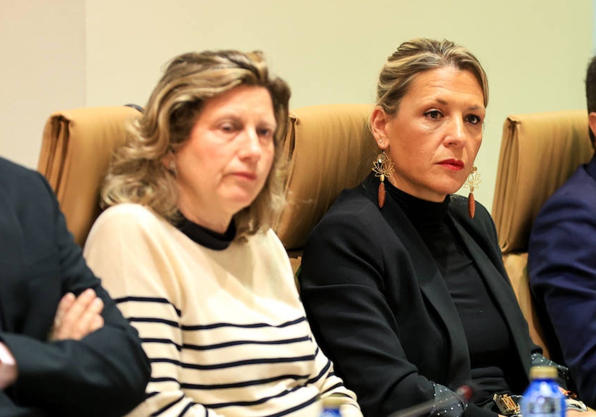 María José Coca, concejala de Medio Ambiente en el Ayuntamiento de Salamanca durante el pleno de este viernes.