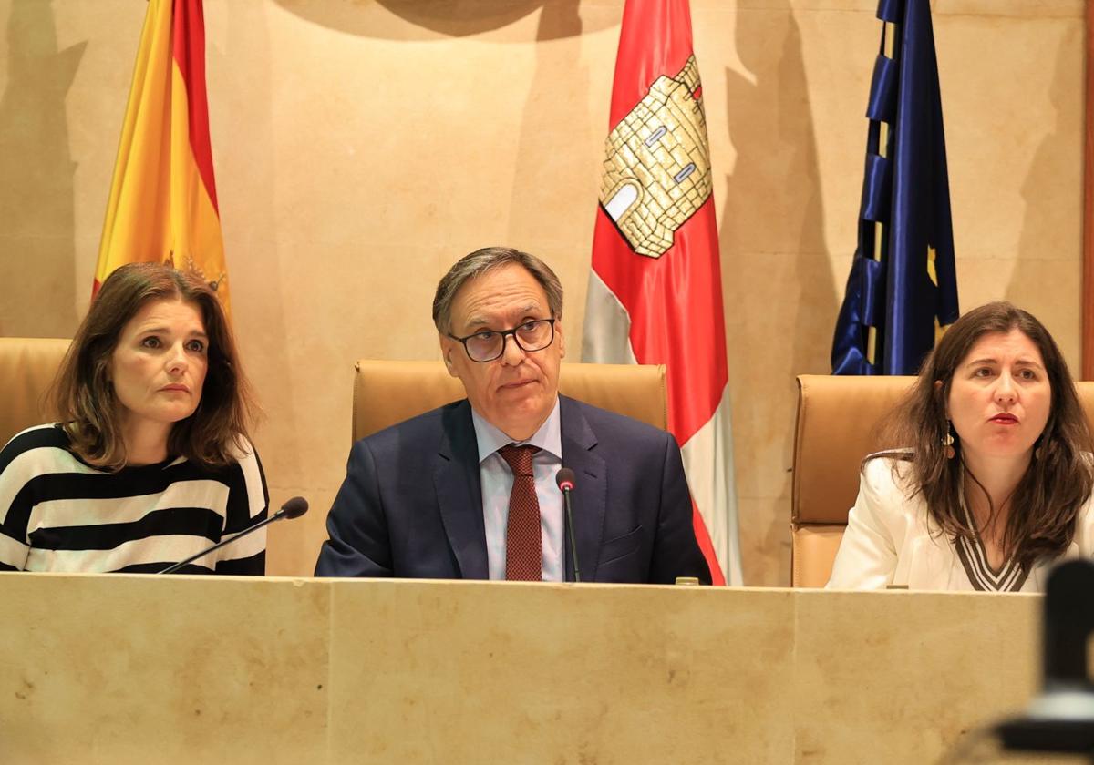 El alcalde de Salamanca, Carlos García Carbayo, durante el pleno municipal de este viernes.