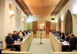 Un momento del pleno municipal celebrado este viernes en Salamanca.