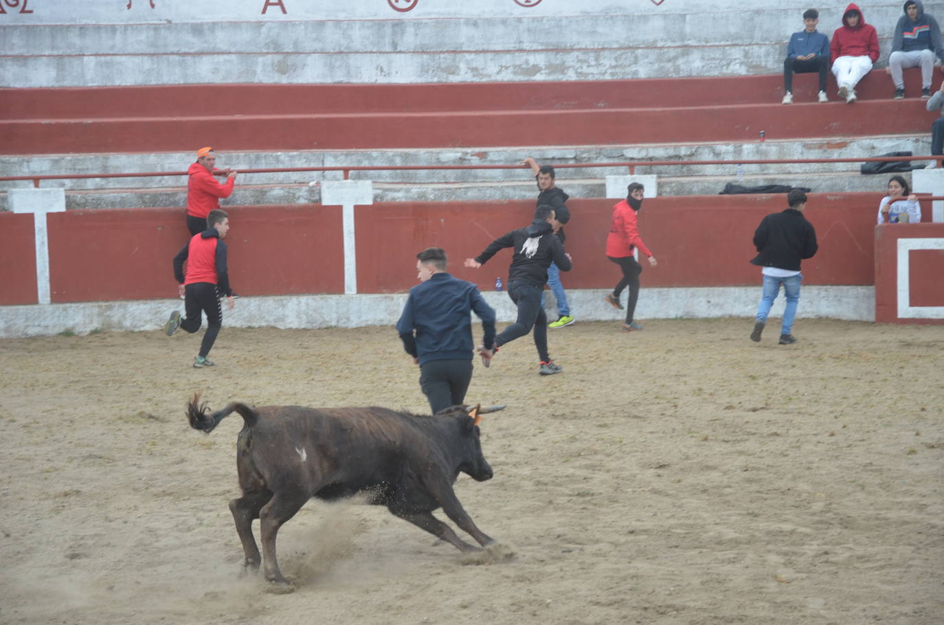 Espíritu festivo y fantasía en el último día de la Santa Cruz en Saelices el Chico