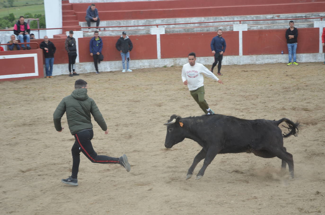 Espíritu festivo y fantasía en el último día de la Santa Cruz en Saelices el Chico