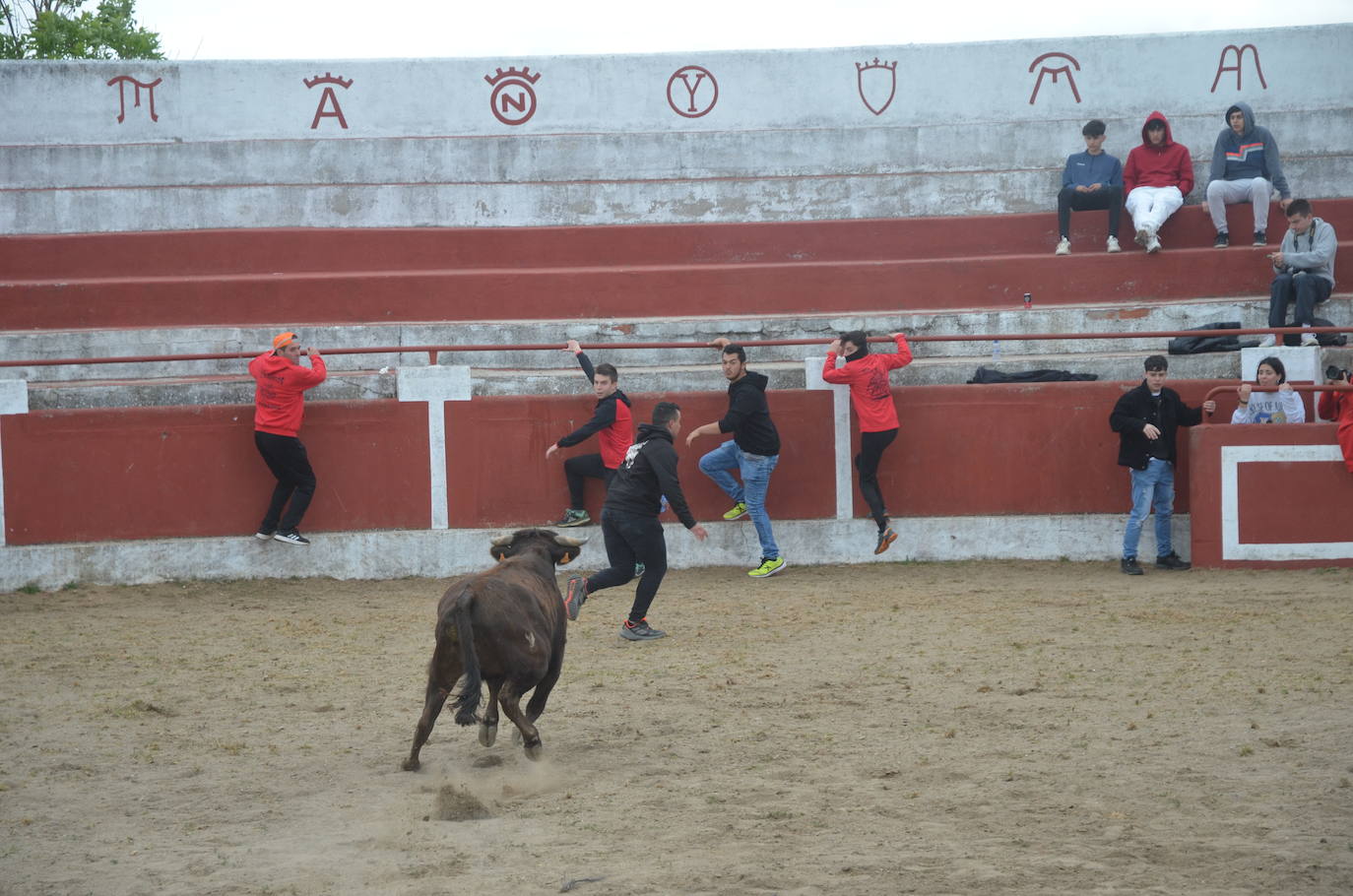 Espíritu festivo y fantasía en el último día de la Santa Cruz en Saelices el Chico