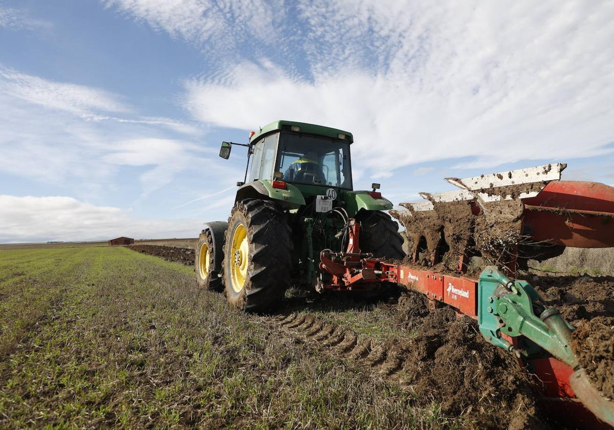 Un agricultor labrando la tierra en La Vellés.