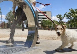 Los perros salmantinos estrenan las nuevas duchas instaladas en la ciudad