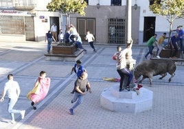 Toro de Cajón de otra edición en Vitigudino