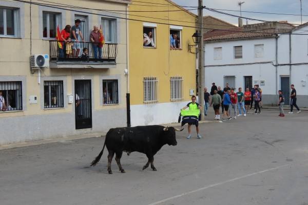 Un toro de San Isidro muy entretenido en Cantalpino