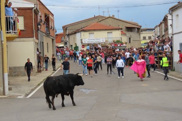 Un toro de San Isidro muy entretenido en Cantalpino