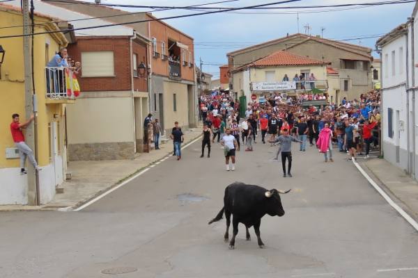 Un toro de San Isidro muy entretenido en Cantalpino