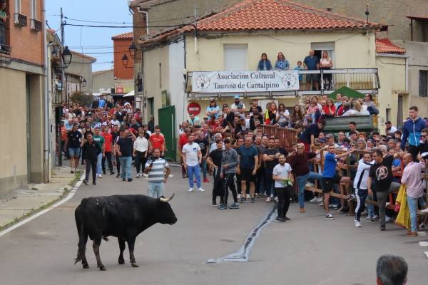 Un toro de San Isidro muy entretenido en Cantalpino