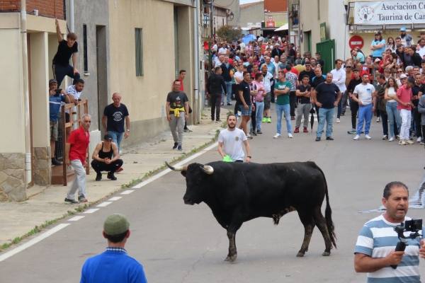 Un toro de San Isidro muy entretenido en Cantalpino