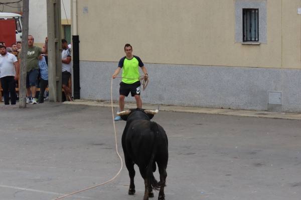 Un toro de San Isidro muy entretenido en Cantalpino