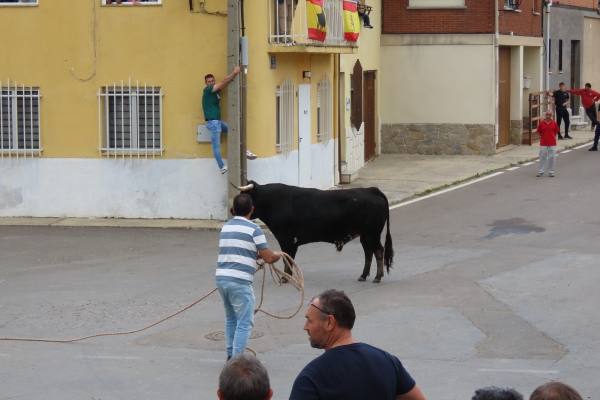 Un toro de San Isidro muy entretenido en Cantalpino