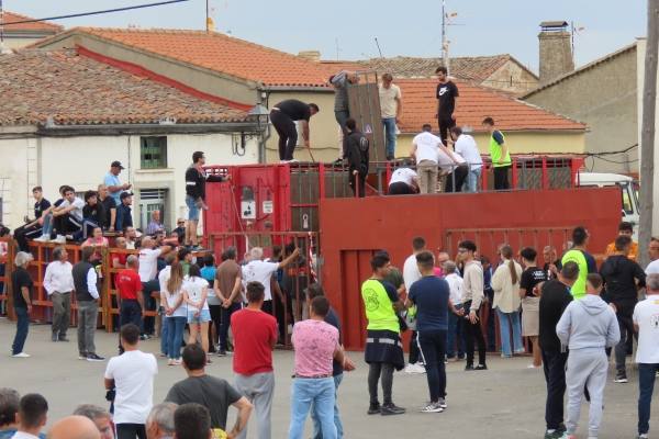 Un toro de San Isidro muy entretenido en Cantalpino