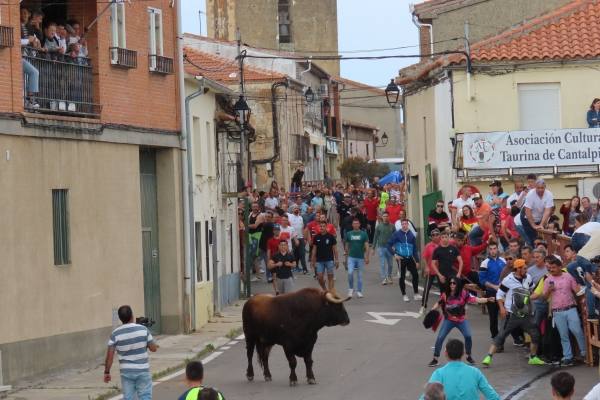 Un toro de San Isidro muy entretenido en Cantalpino