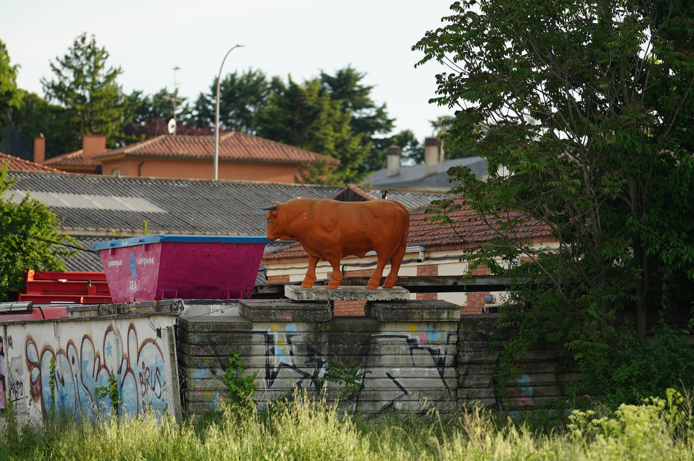 Imagen secundaria 1 - ¿Qué fue de los toros de la Capitalidad Cultural de 2002?