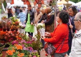 Una salmantina observa una planta en el 'Mercado de las Flores'