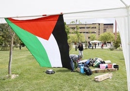 Acampadas en el campus en contra de los ataques de Israel.