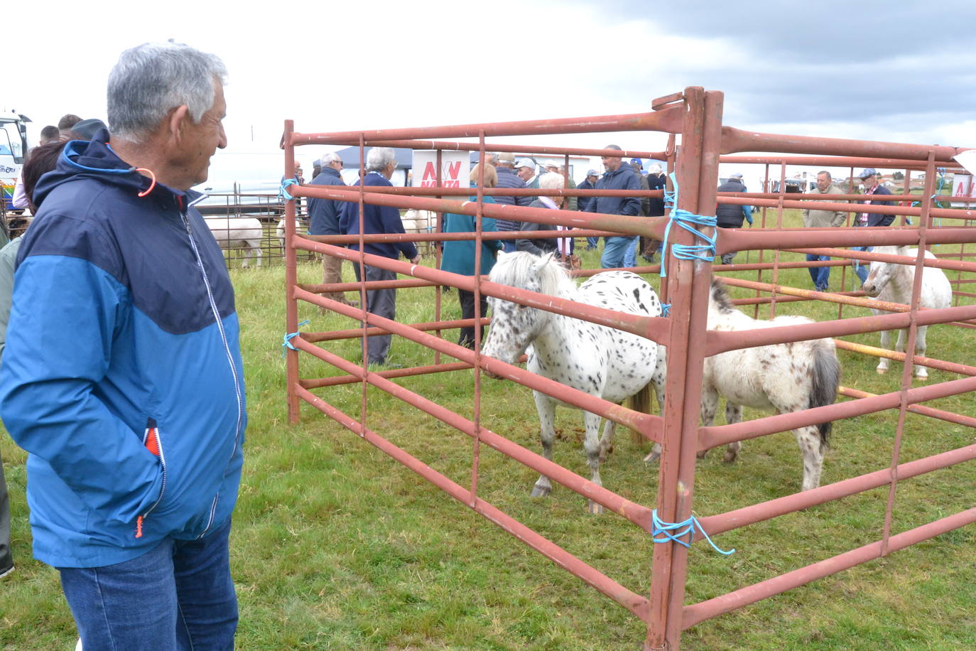 Ambiente de feria en Lumbrales con motivo de San Isidro