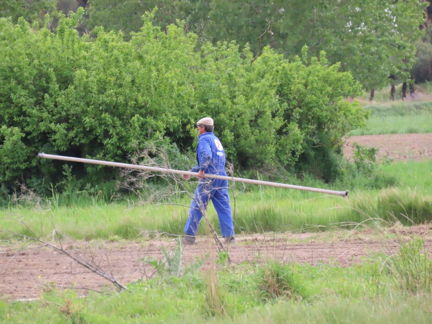 Los pueblos de Salamanca en los que no hay agricultores ni para llevar al Santo