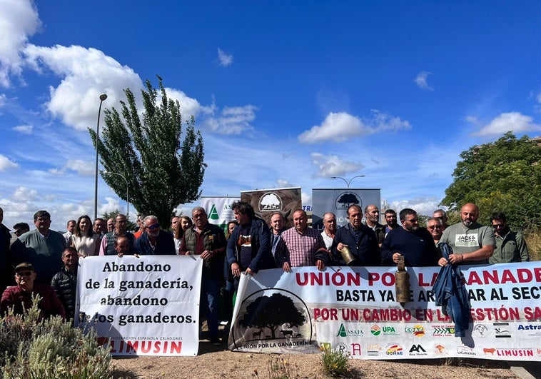 Manifestantes salmantinos, hoy en Toledo.