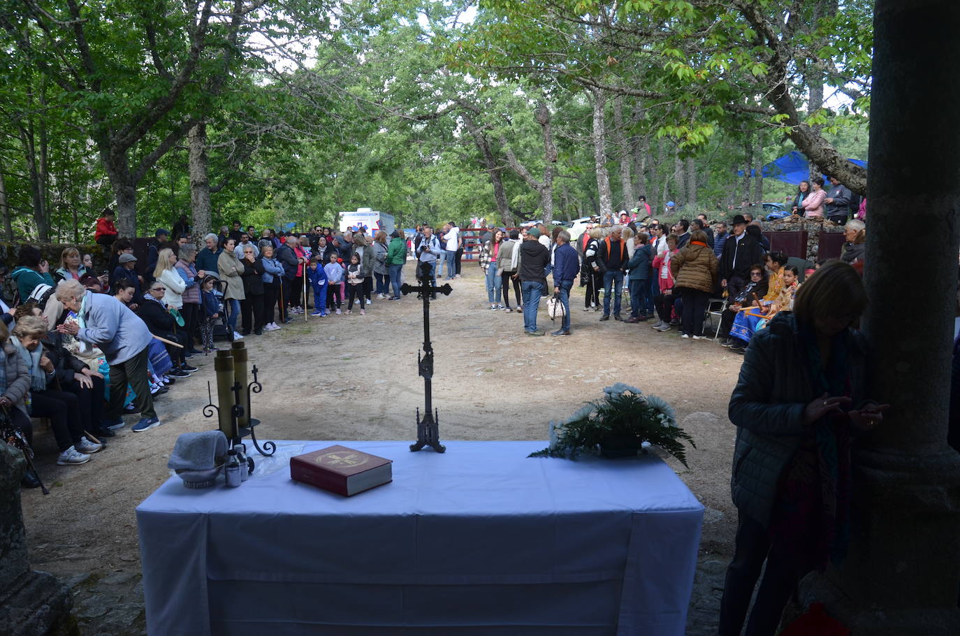 El fervor de La Alberca por la Virgen de Majadas, en imágenes