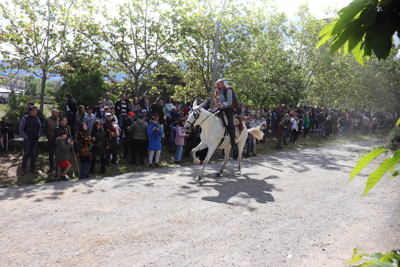 Los paporros llenan El Castañar de Béjar para honrar a la patrona