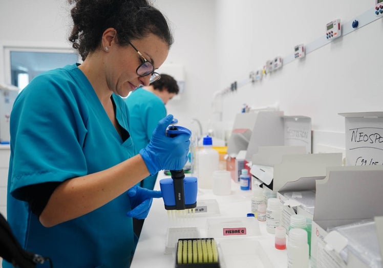 Zootecnia, Análisis Clínicos Veterinarios, trabaja con equipos instalados por Prosisa Lab