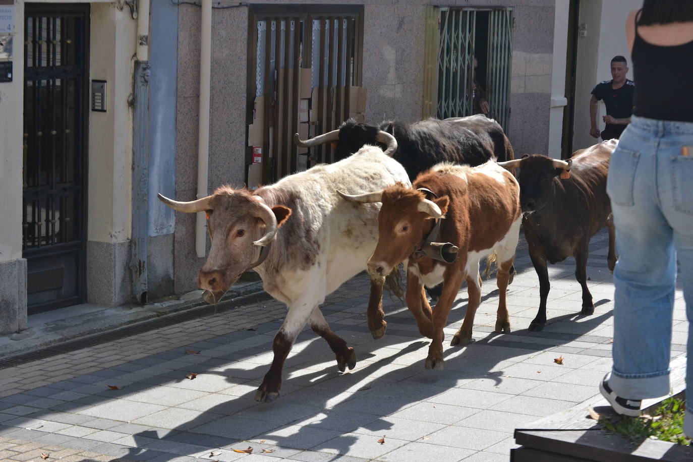 Vitigudino vibra con el Toro de Cajón