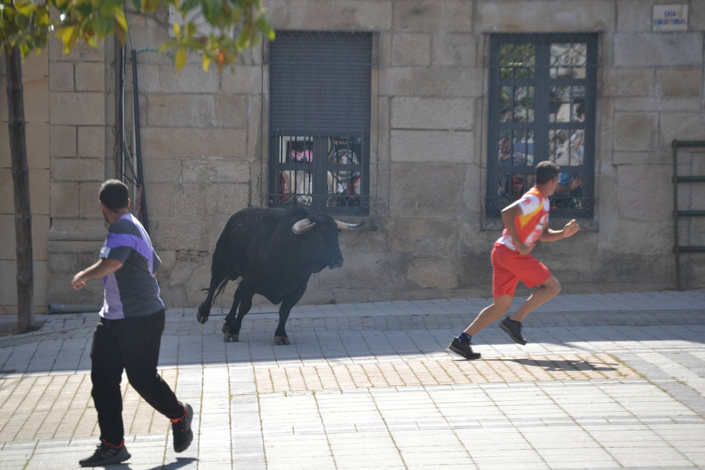 Vitigudino vibra con el Toro de Cajón