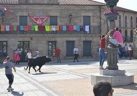 Uno de los toros en la Plaza de España de la localidad