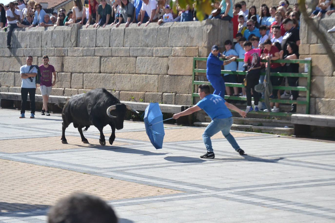 Vitigudino vibra con el Toro de Cajón