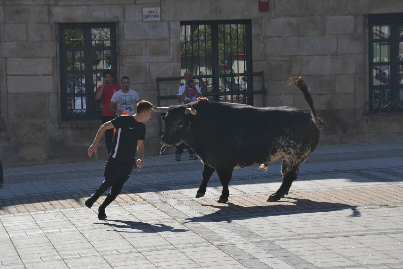 Vitigudino vibra con el Toro de Cajón