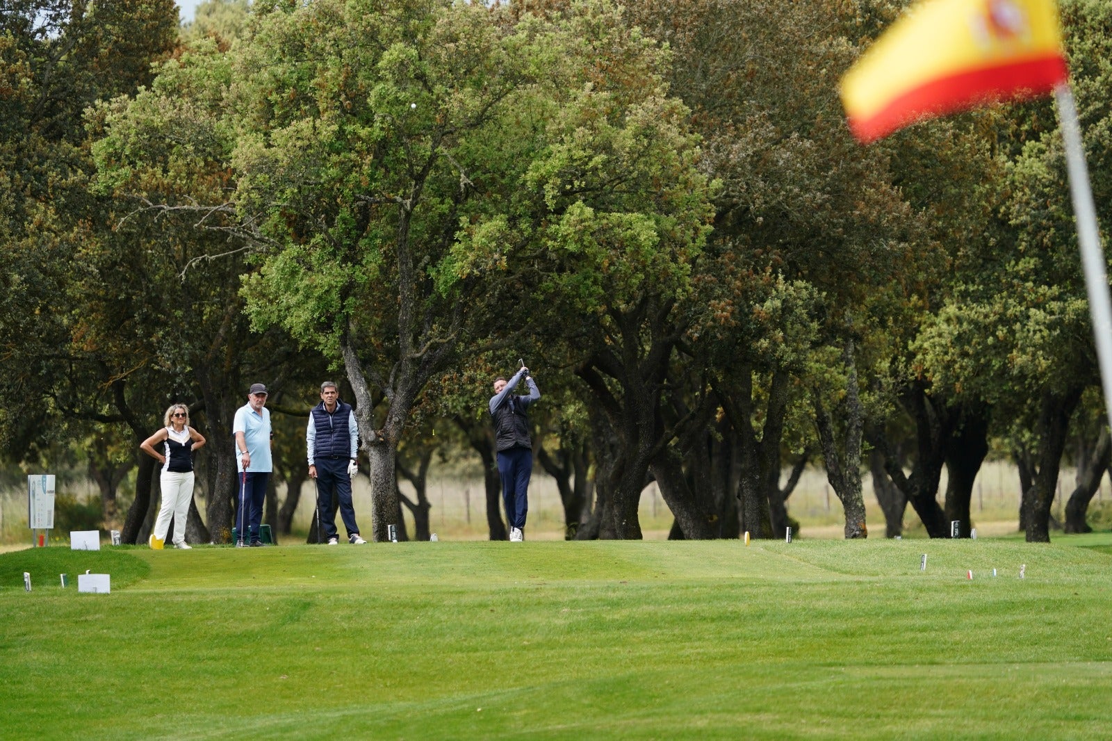 Mucho golf en la última jornada del Torneo de LA GACETA