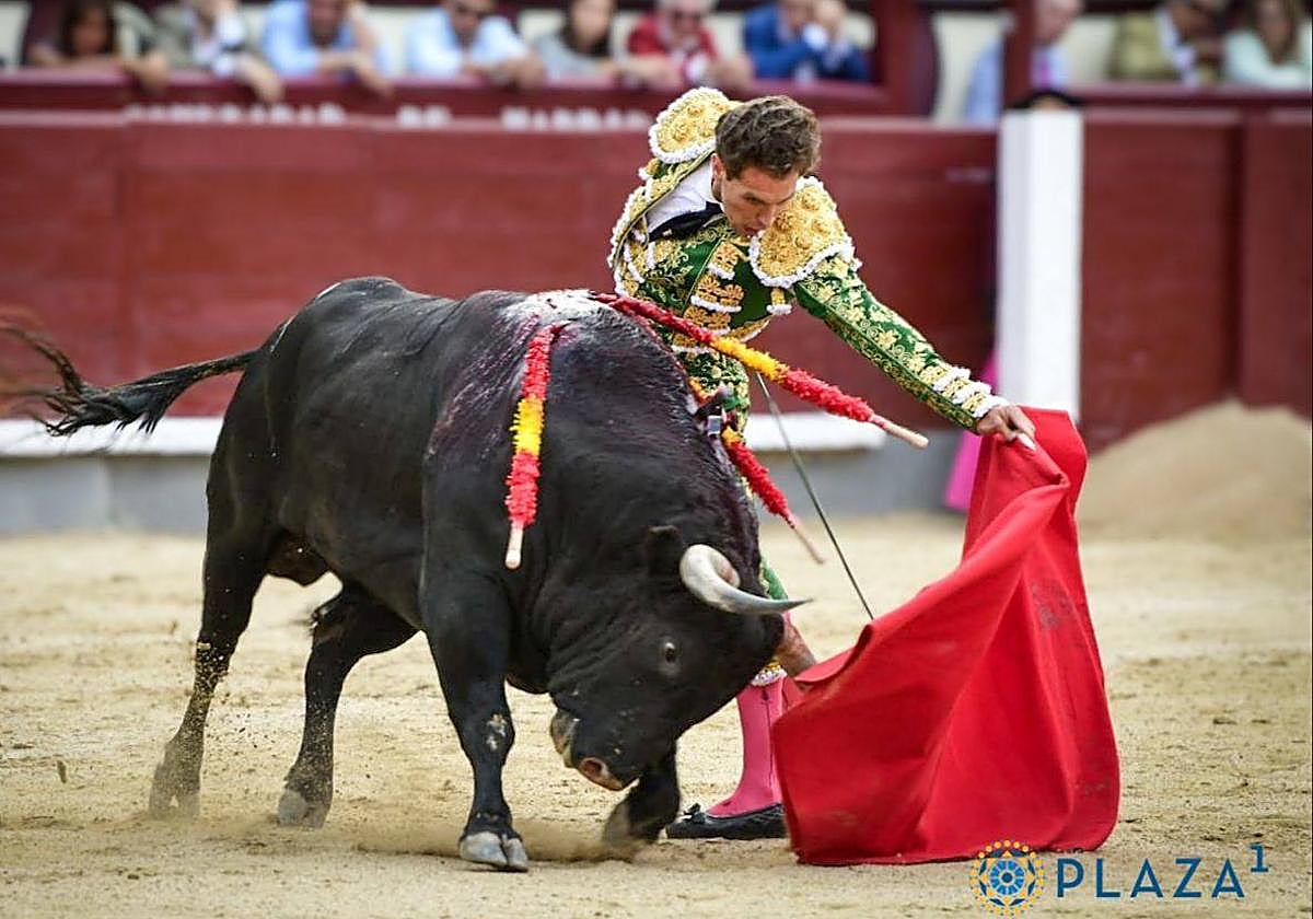 Largo y buen natural de Ginés Marín a Zocaín, el tercer toro de Montalvo lidiado en Las Ventas.