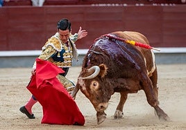Muletazo con la pierna flexionada de David Galván al tercer toro de Alcurrucén ayer en Las Ventas.
