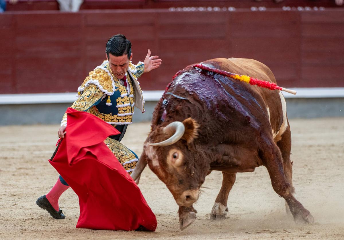 Muletazo con la pierna flexionada de David Galván al tercer toro de Alcurrucén ayer en Las Ventas.