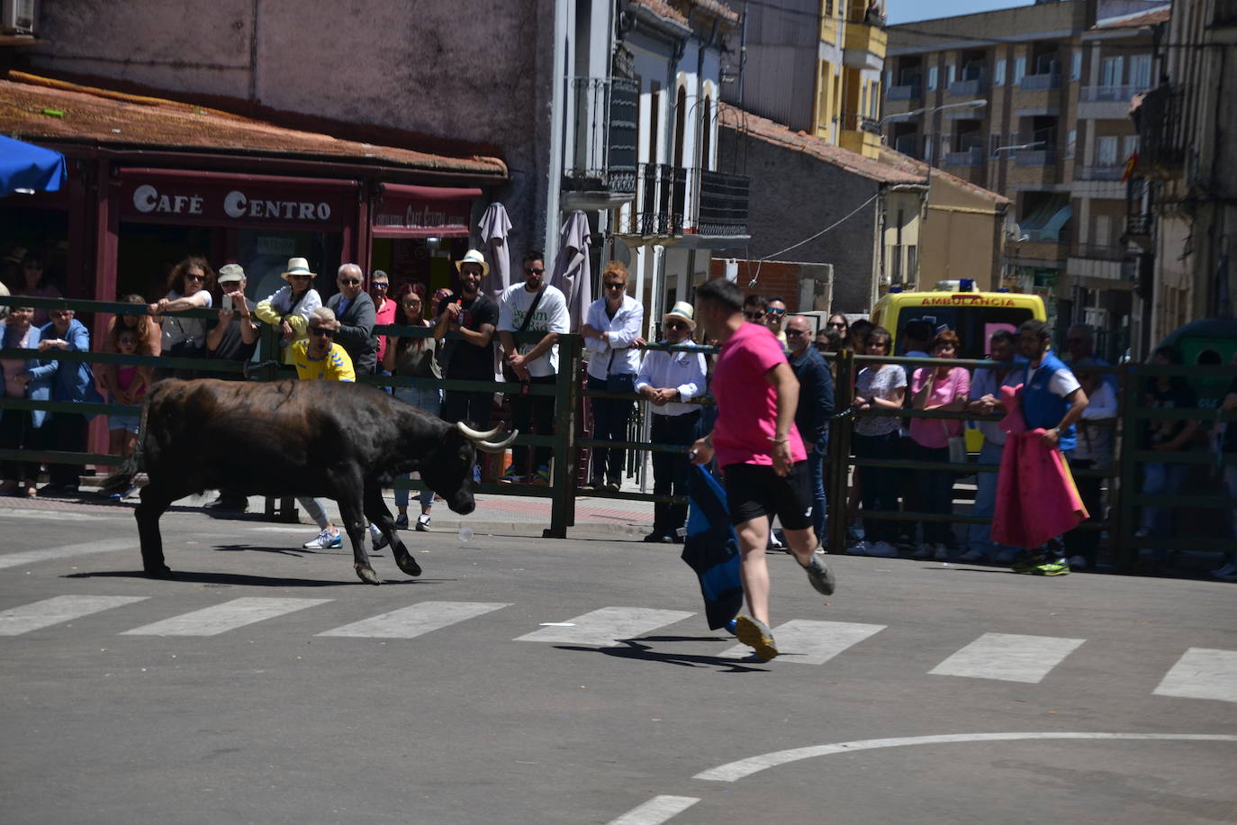 Divertido primer encierro en Vitigudino