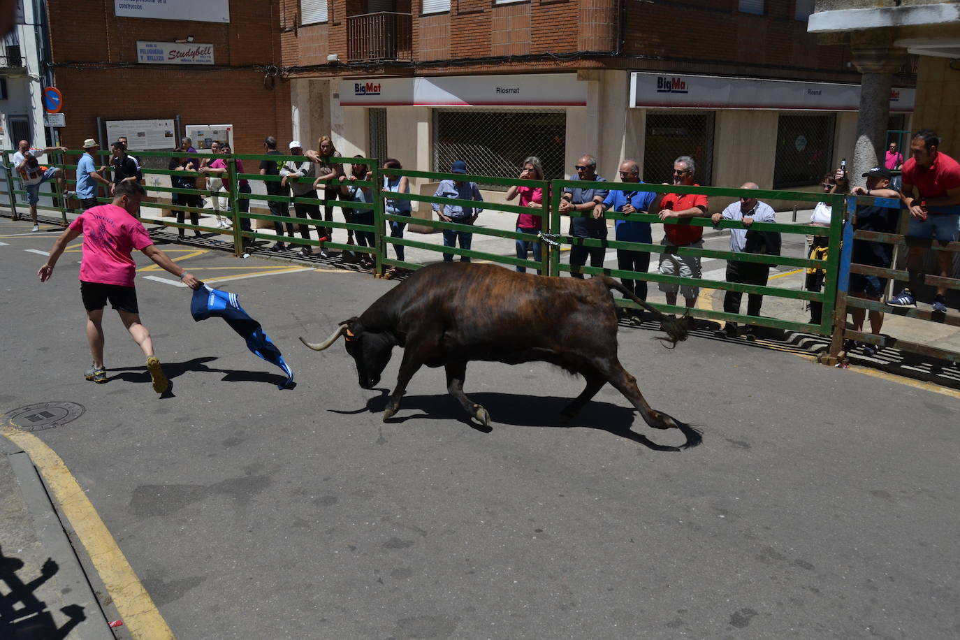 Divertido primer encierro en Vitigudino