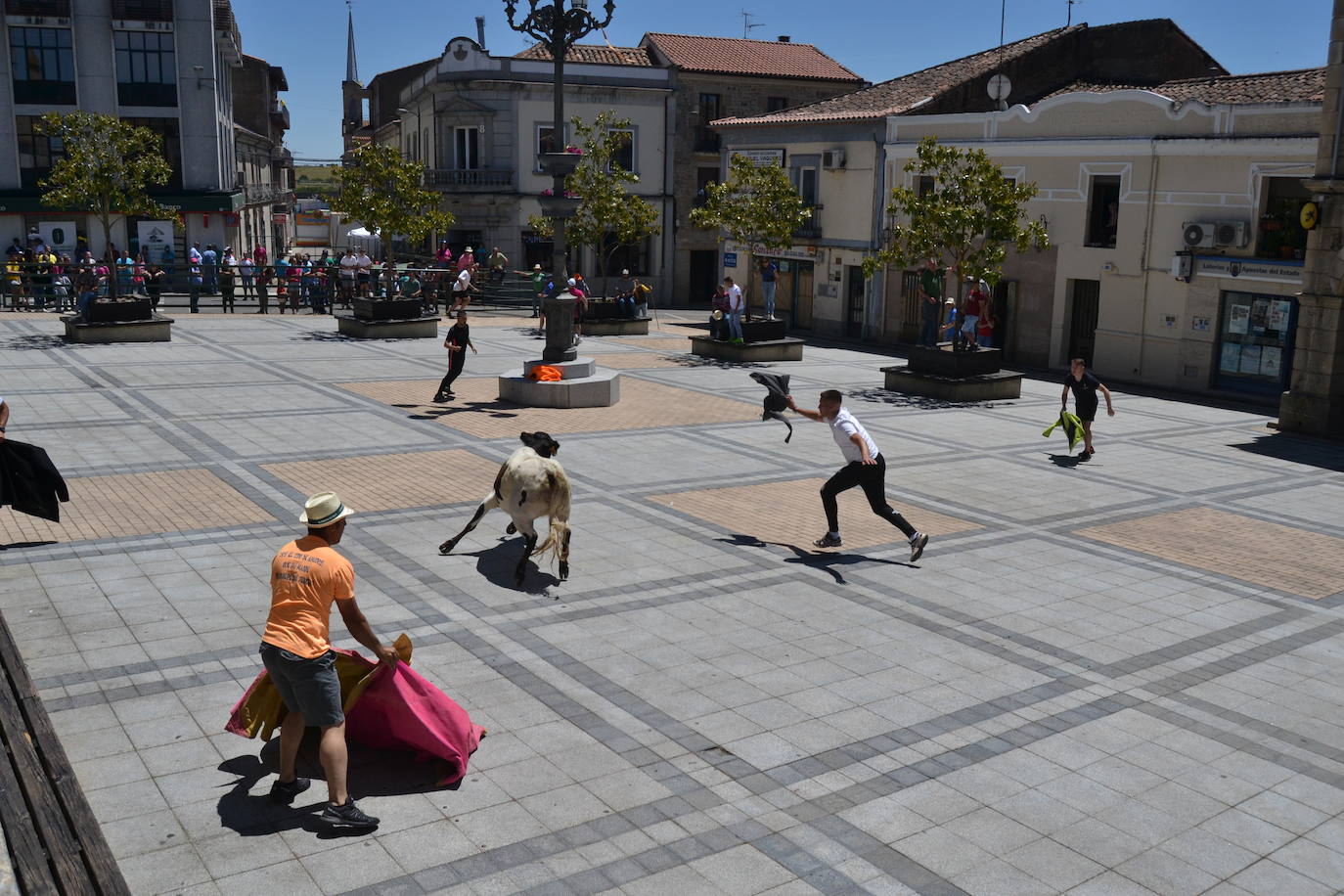 Divertido primer encierro en Vitigudino