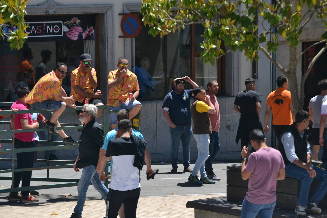 Bravura y entrega en el encierro de Vitigudino